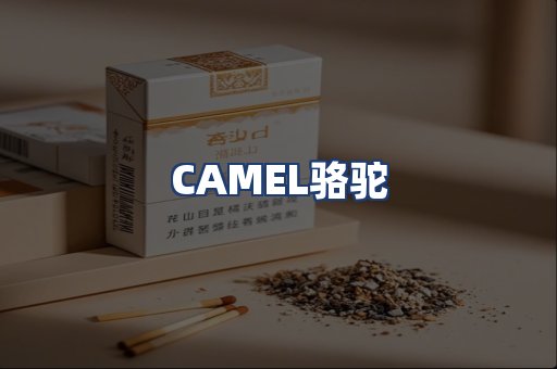 CAMEL骆驼